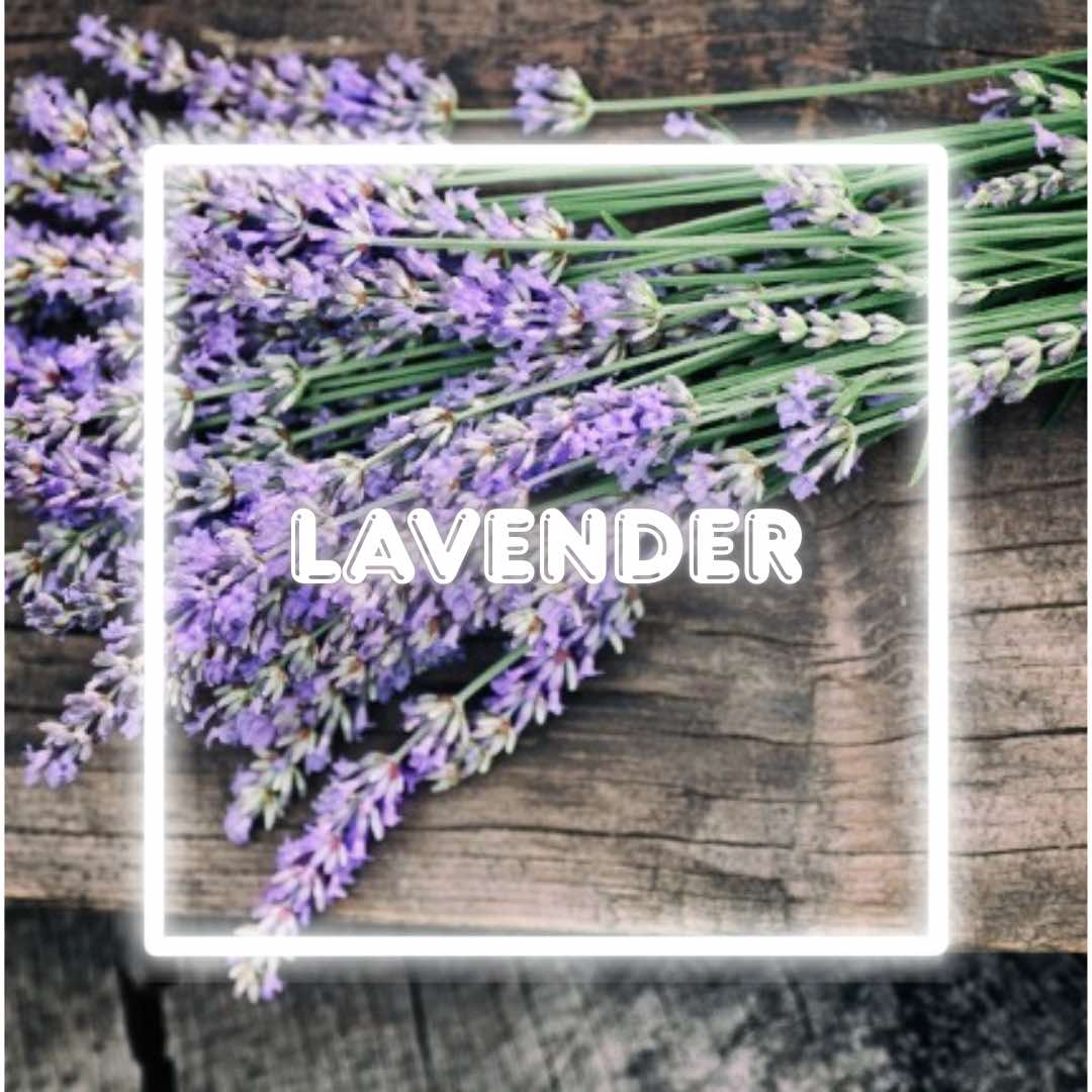 Lavender