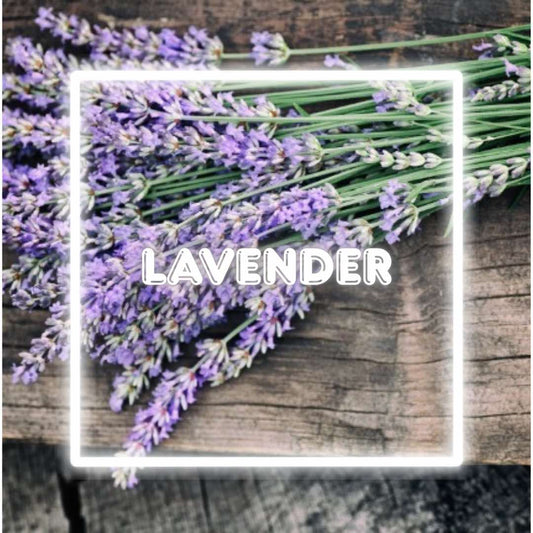 Lavender