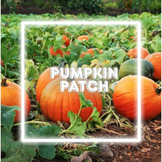 Pumpkin Patch