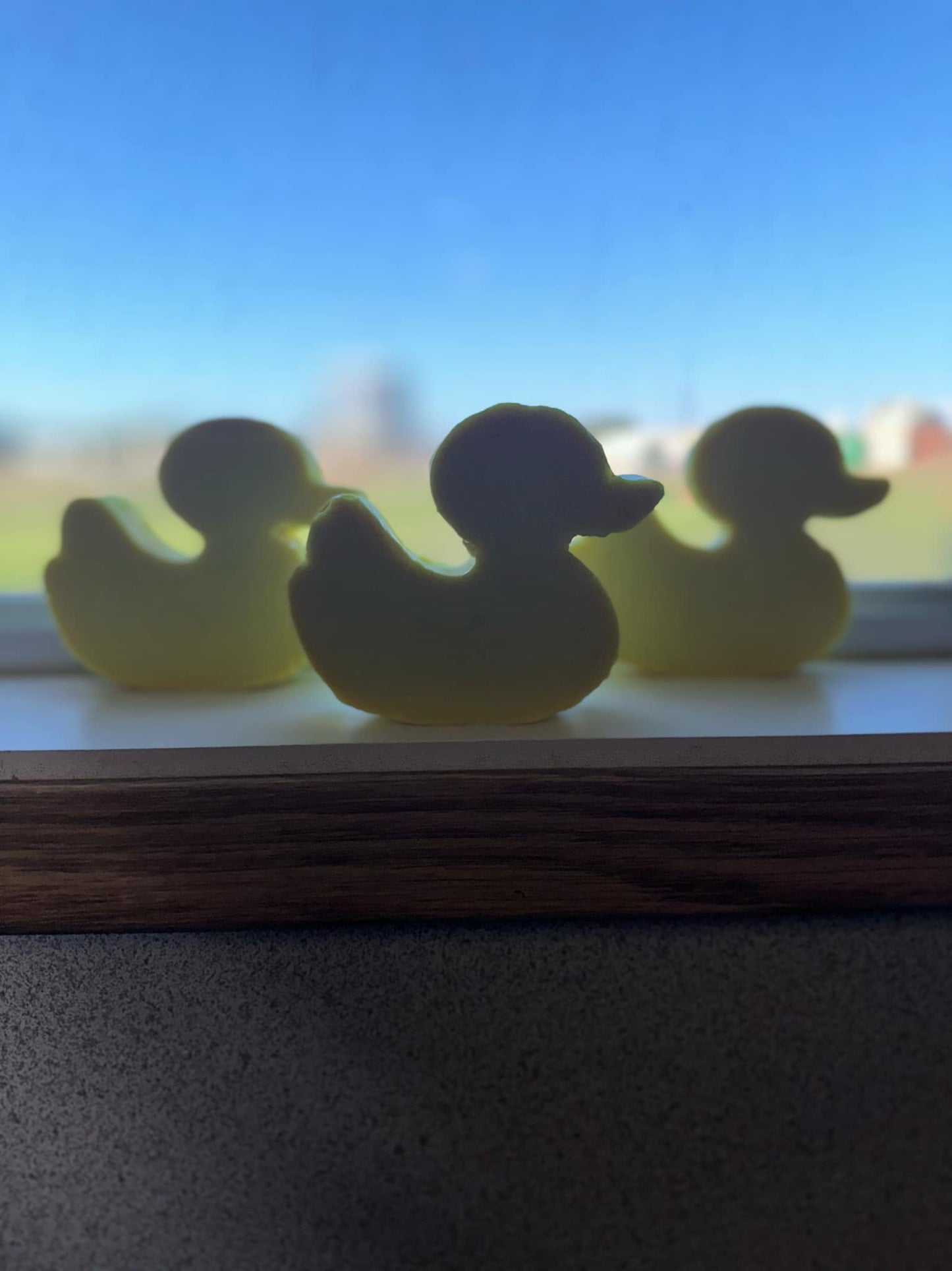 Shaped Soap Molds