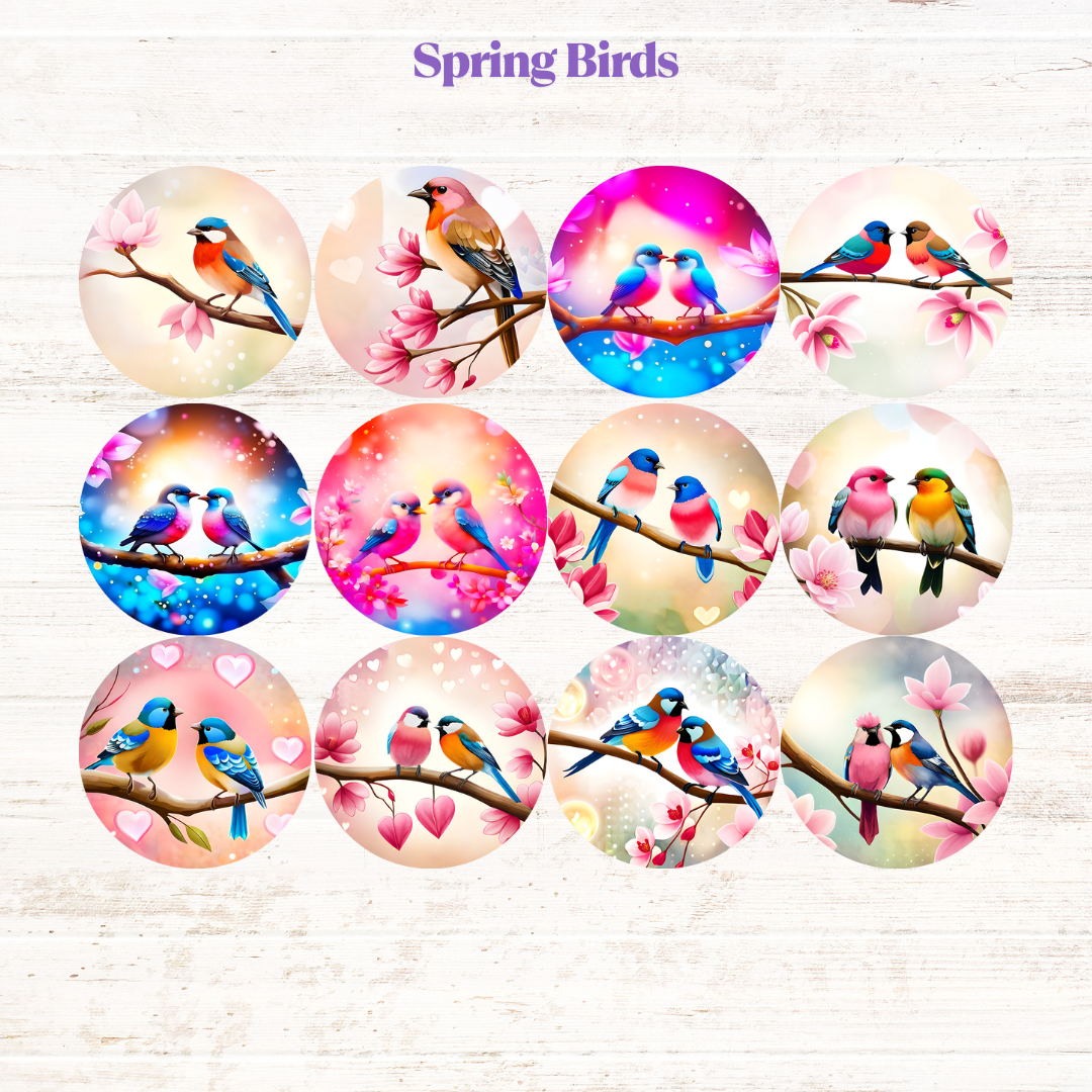 Spring Birds Collections Freshie Cardstock - 2.5"