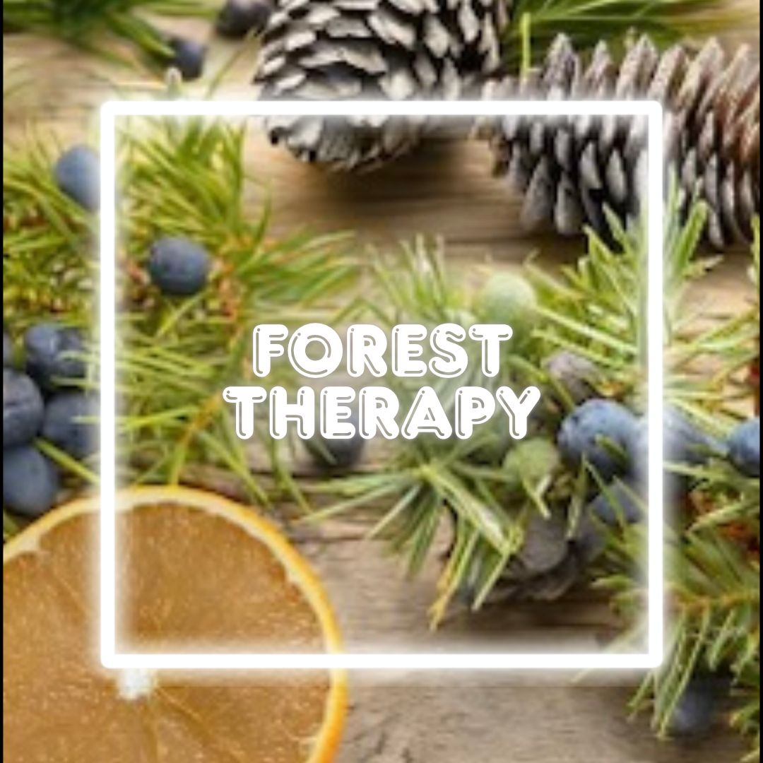Forest Therapy