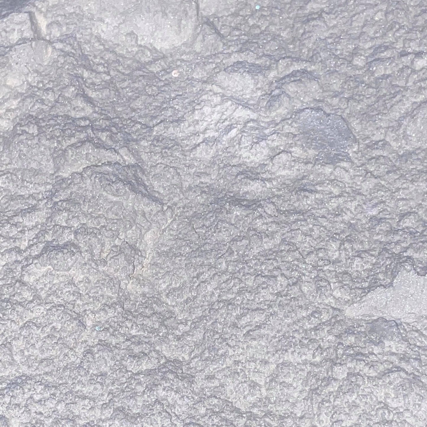 Mica des neiges arctiques