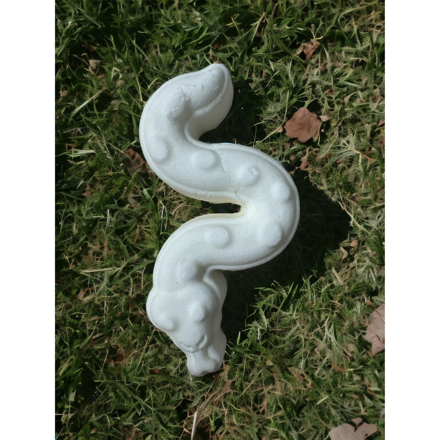 Snake Vacuum Mold