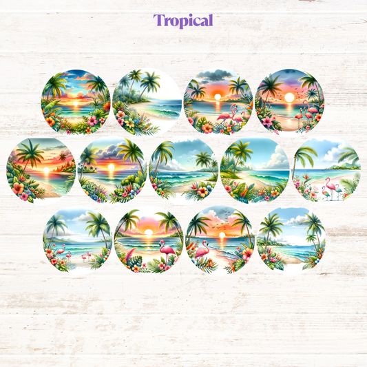 Tropical Freshie Cardstock - 2.5"