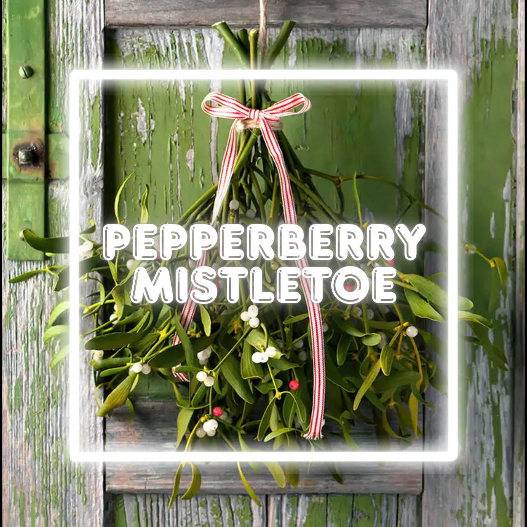 Pepperberry Mistletoe