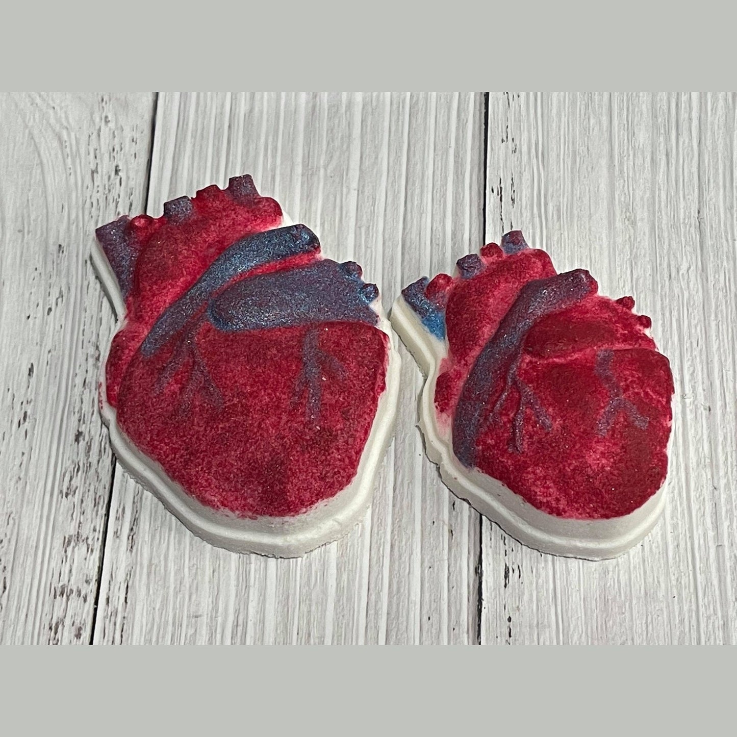Anatomical Heart Vacuum Form Molds