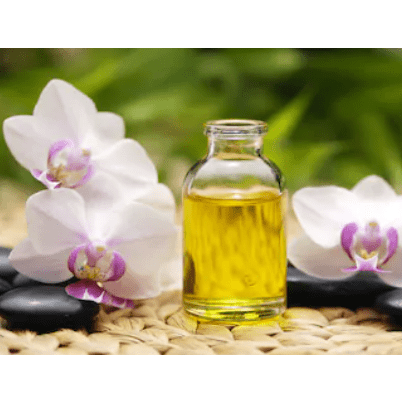 Massage Oil Base